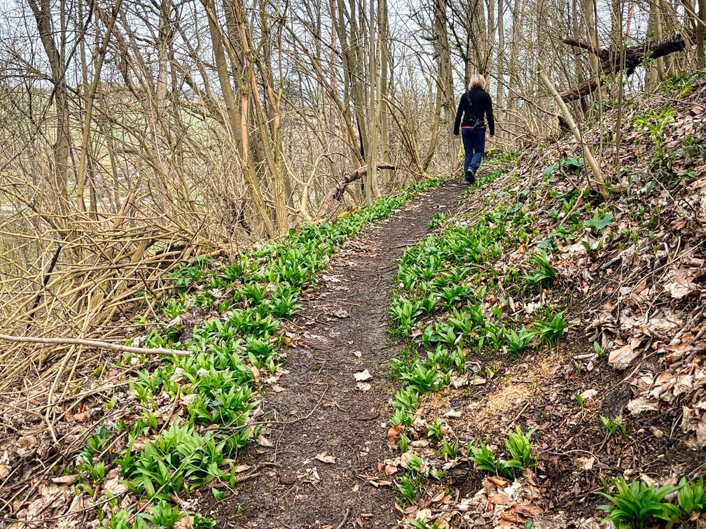 23-03-17 11-27-54 4889